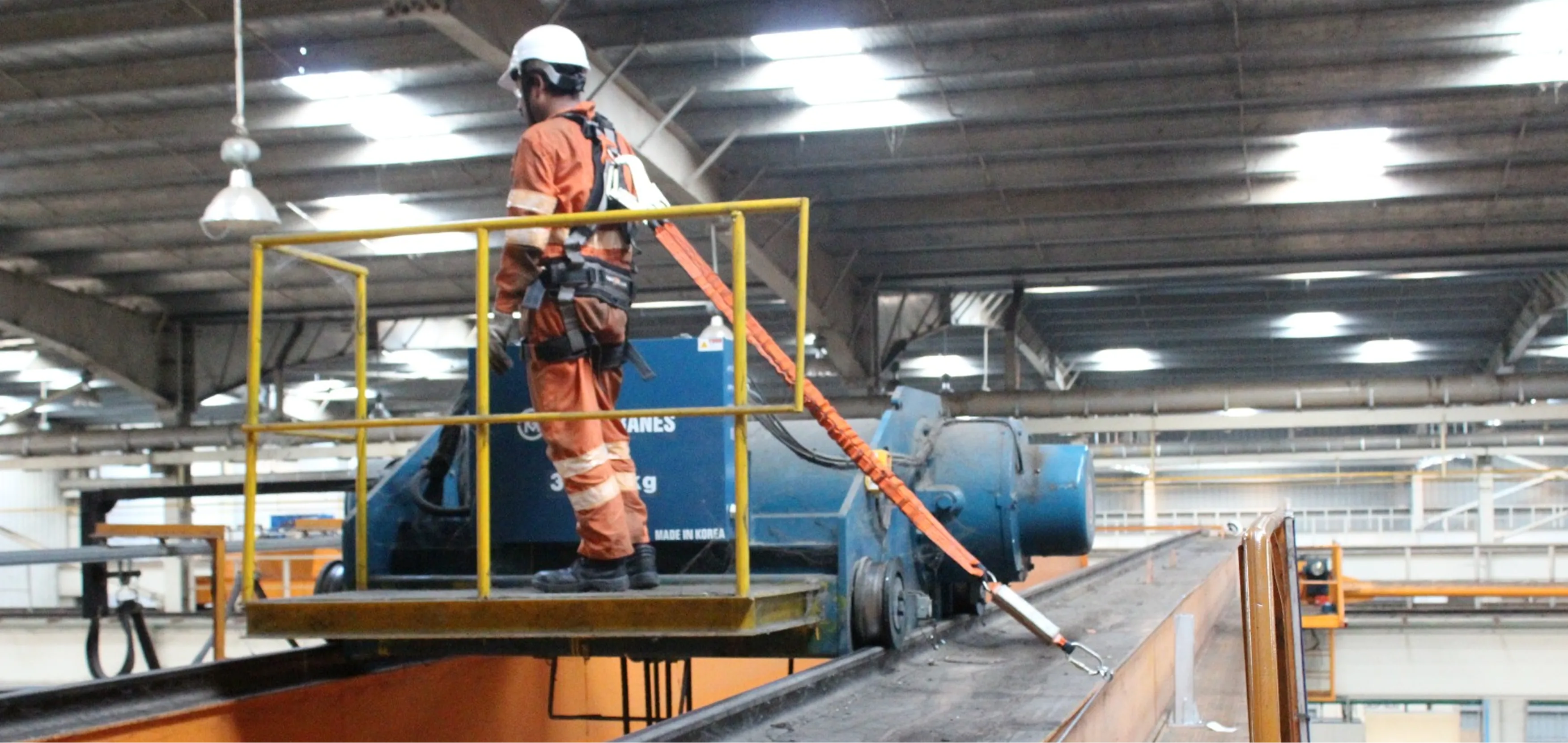 Cranebay fall arrest – placeholder