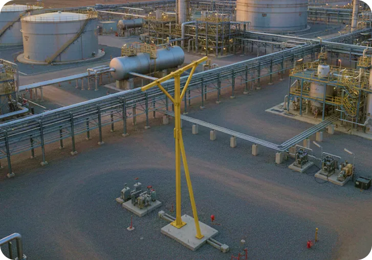 T and L Type Giraffe